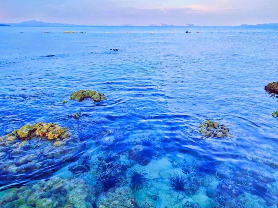 The Reef Resort Ko Kradan Extérieur photo